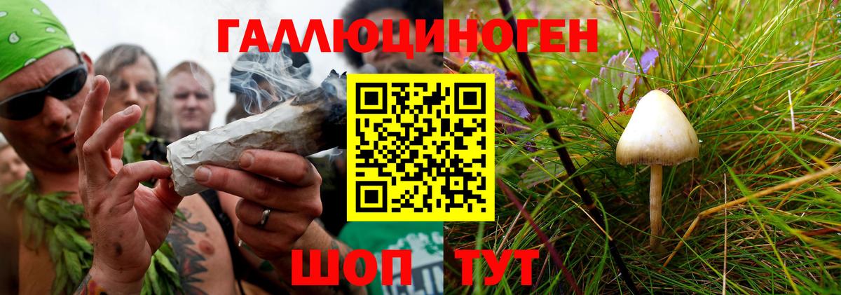 Сертолово  Галлюциногенные грибы Magic Shrooms  Вход с VPN  Галлюциногенные грибы GOLDEN TEACHER 